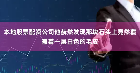 本地股票配资公司他赫然发现那块石头上竟然覆盖着一层白色的毛皮