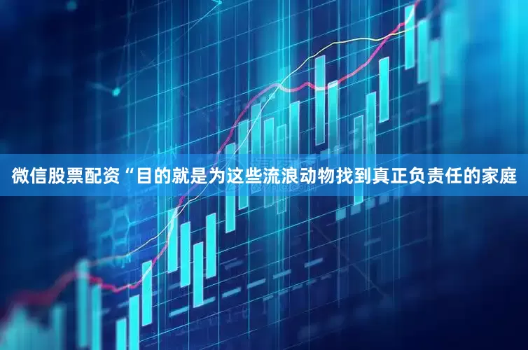 微信股票配资“目的就是为这些流浪动物找到真正负责任的家庭