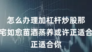 怎么办理加杠杆炒股那么宅如愈苗酒蒸养或许正适合你