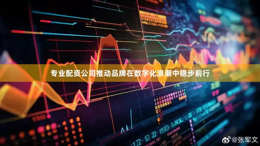 专业配资公司推动品牌在数字化浪潮中稳步前行
